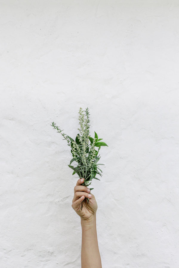 Talking skincare: Why basics are better