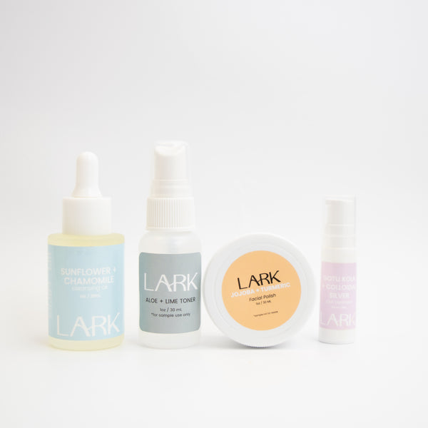 Clean Skincare Starter Kit: Acne + Blemish Prone