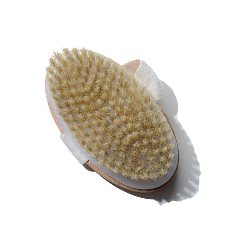 Dry Brush body